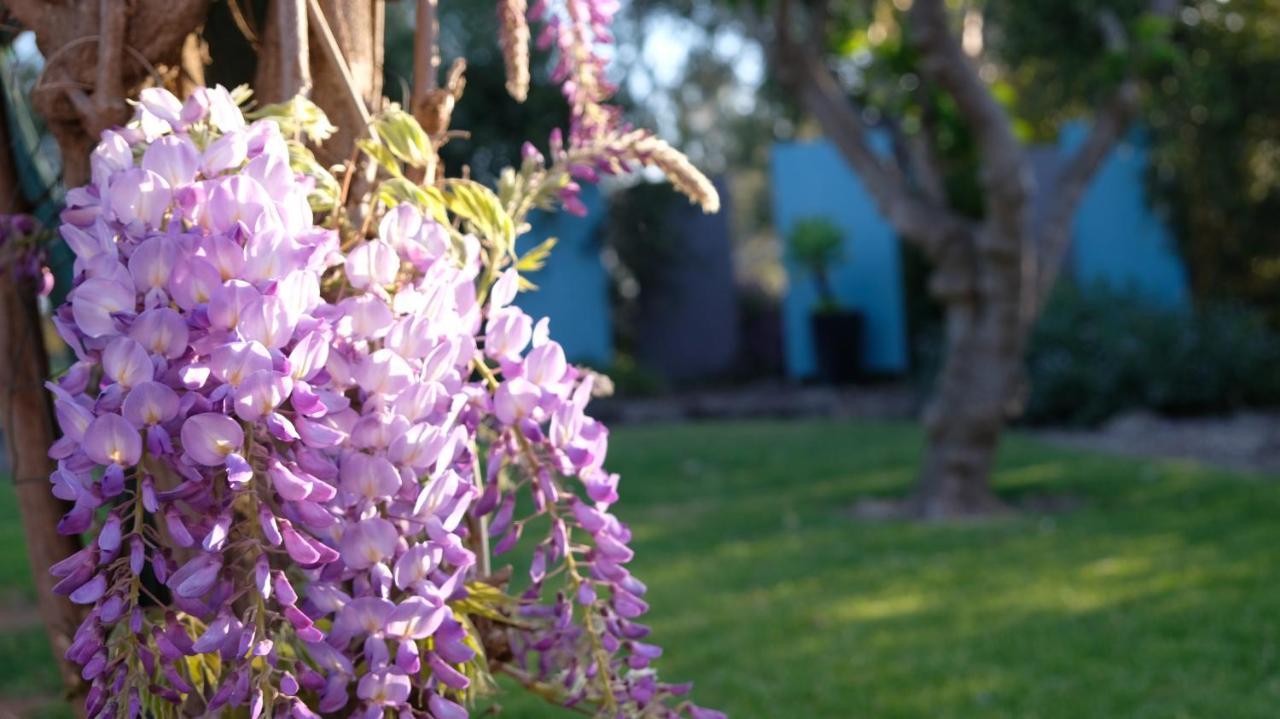 Loddon River Motel Kerang Esterno foto