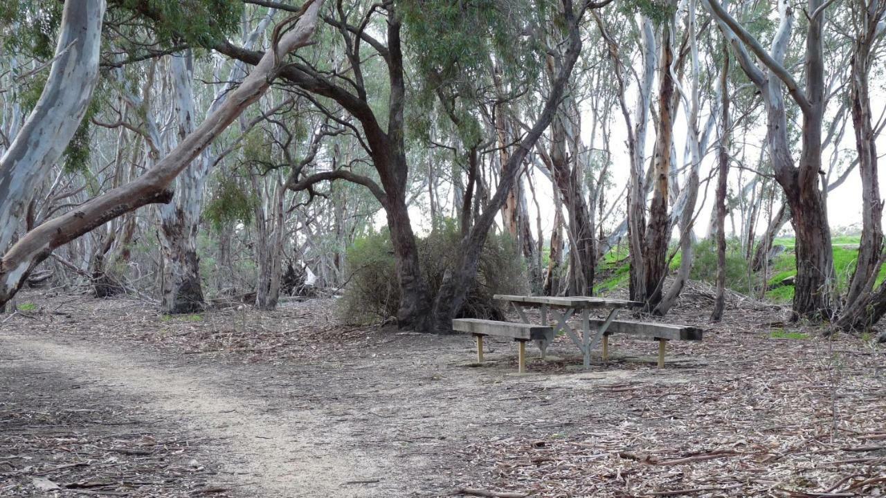 Loddon River Motel Kerang Esterno foto